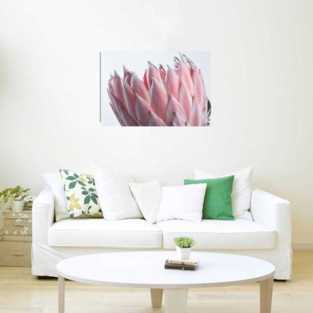 Tablou Canvas Floare