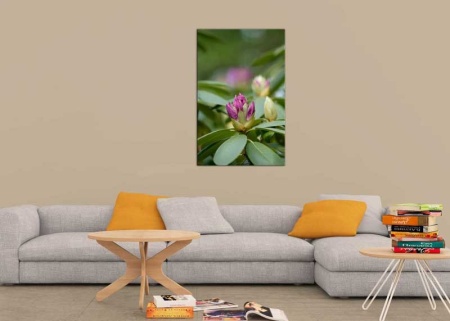 Tablou Canvas Flori