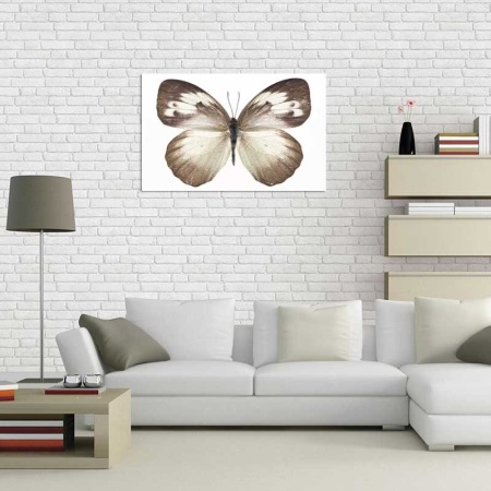 Tablou Canvas Fluturas