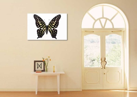 Tablou Canvas Fluturas