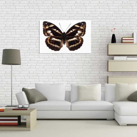Tablou Canvas Fluturas
