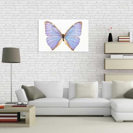 Tablou Canvas Fluturas