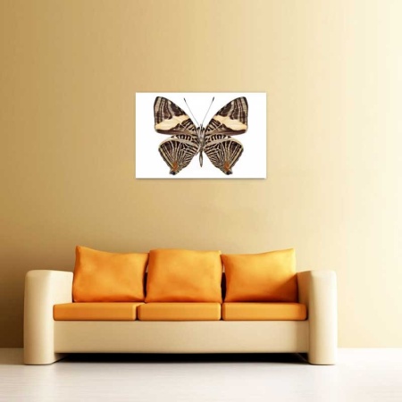 Tablou Canvas Fluturas