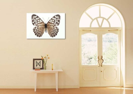 Tablou Canvas Fluturas