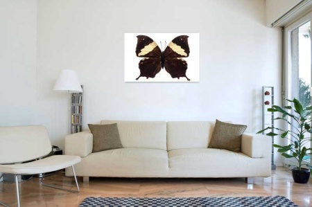 Tablou Canvas Fluturas