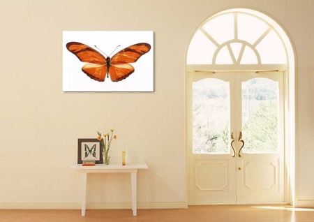 Tablou Canvas Fluturas