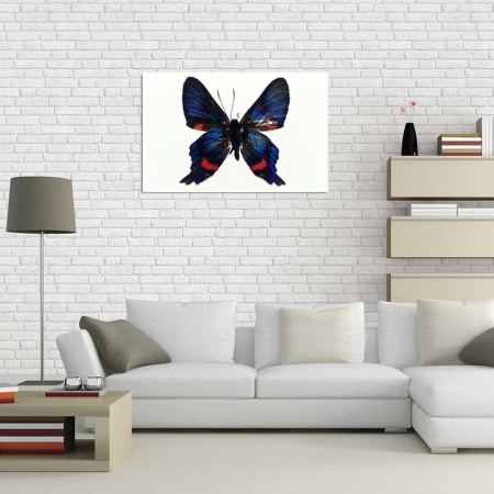 Tablou Canvas Fluturas