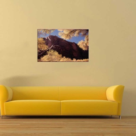 Tablou Canvas Frunze Galbene