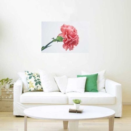 Tablou Canvas Garoafa