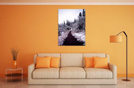 Tablou Canvas Iarna