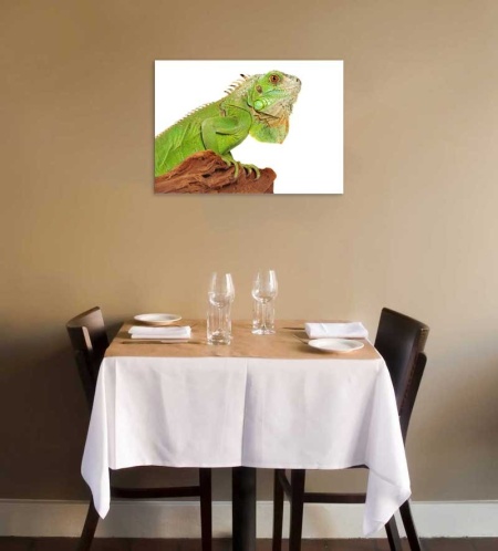 Tablou Canvas Iguana