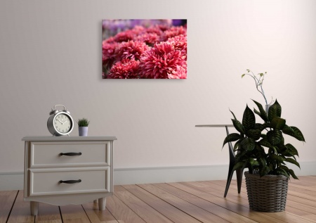 Tablou Canvas natura crizanteme