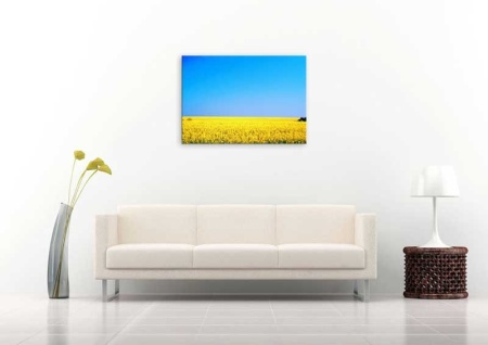 Tablou Canvas Natura