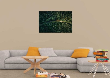 Tablou Canvas Padure De Brazi