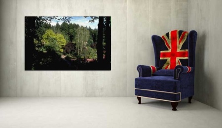 Tablou Canvas Padure