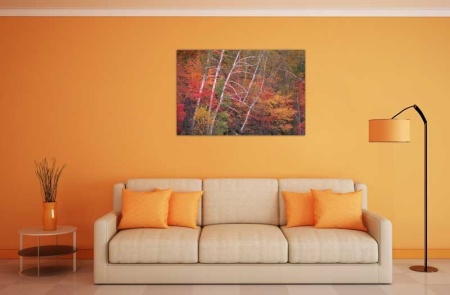 Tablou Canvas Padure