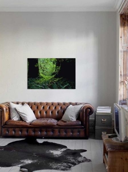 Tablou Canvas Padure