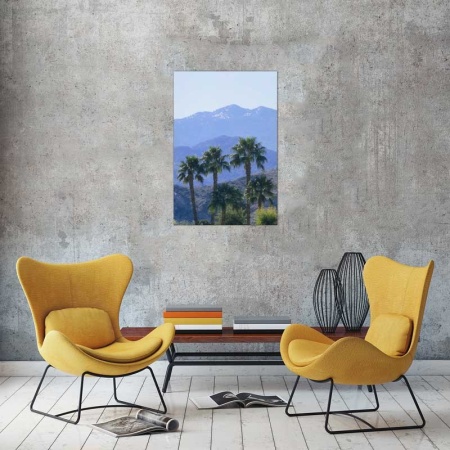 Tablou Canvas Palmier