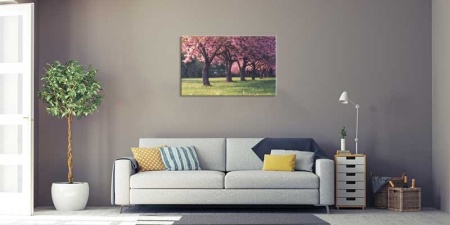 Tablou Canvas Primavara