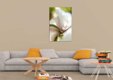 Tablou Canvas Primavara