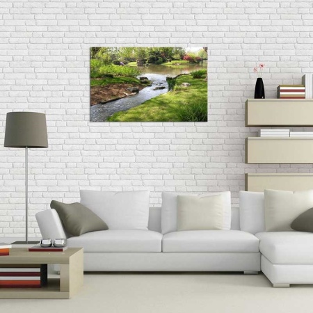 Tablou Canvas Rau
