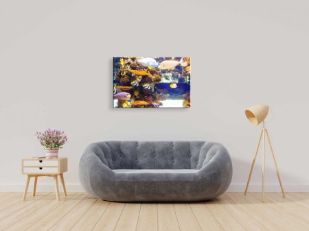 Tablou Canvas ri underwater - pesti decorativi