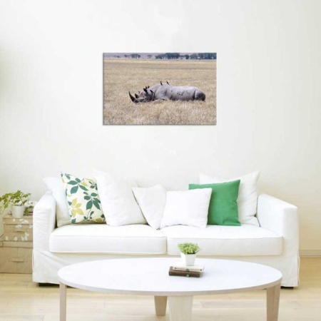 Tablou Canvas Rinocer