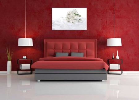 Tablou Canvas Trandafiri Albi