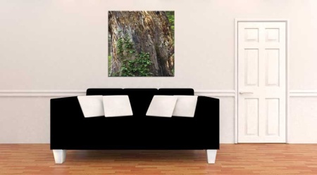 Tablou Canvas Trunchi de Copac