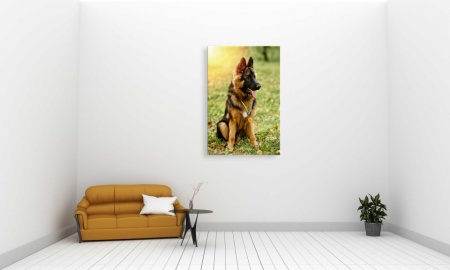 Tablou Canvas animale caine campion