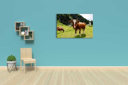 Tablou Canvas animale vaca din munti