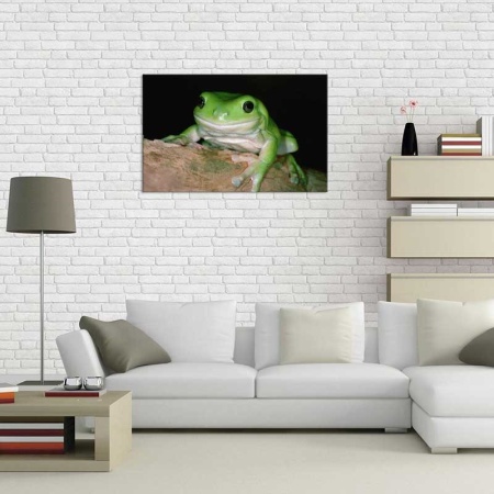 Tablou Canvas Broasca