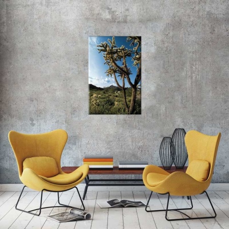 Tablou Canvas Cactusi