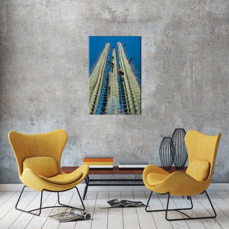 Tablou Canvas Cactus