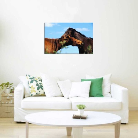 Tablou Canvas Cai