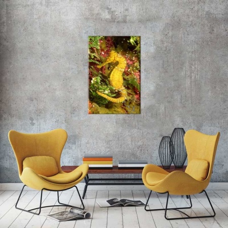 Tablou Canvas Calut de Mare