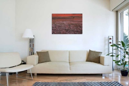 Tablou Canvas Camp cu flori