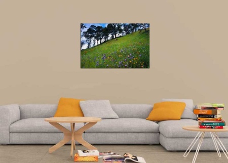Tablou Canvas Camp cu Flori