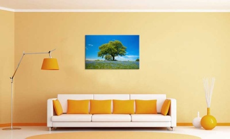 Tablou Canvas Copac primavara