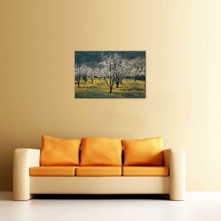 Tablou Canvas Copaci Infloriti