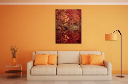 Tablou Canvas Copaci rosii