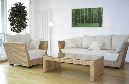Tablou Canvas Copaci
