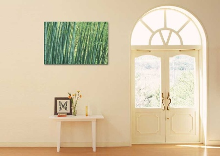 Tablou Canvas Copaci