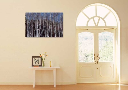 Tablou Canvas Copaci