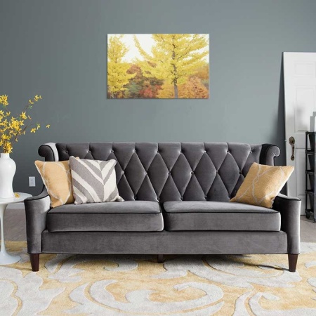 Tablou Canvas Copaci