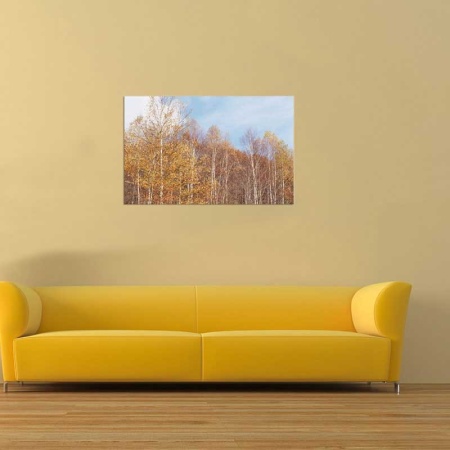 Tablou Canvas Copaci