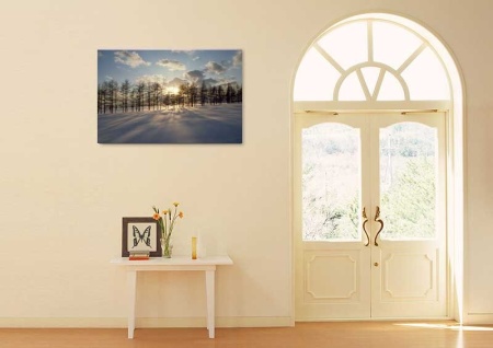 Tablou Canvas Copaci