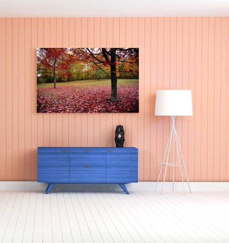 Tablou Canvas Copaci