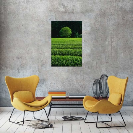 Tablou Canvas Copac
