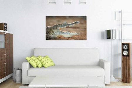 Tablou Canvas Crocodil